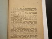Trys dešimtys margų 1924 m. - nuotraukos Nr. 3