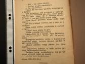Trys dešimtys margų 1924 m. - nuotraukos Nr. 6