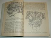 Automobiliai Maz-64227, Maz-54322 - nuotraukos Nr. 4