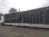 Meslo Salinimo Transporteris(-iai) - nuotraukos Nr. 28