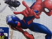 Spider-man. Žmogus-voras. Žurnalas 2024/2