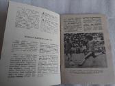 Žalgiris-87 - nuotraukos Nr. 4