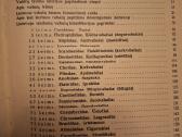 Lietuvos vabalai - nuotraukos Nr. 5