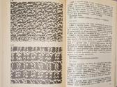 T.otkalo, Nėrimo raštai - nuotraukos Nr. 2
