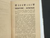 Teisybės Vardan 1916 m. - nuotraukos Nr. 3