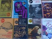 Serija Siluetai Drąsiųjų keliai,noriu zinot Zeni - nuotraukos Nr. 8