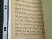 Paklydelio Kelias 1920 m. - nuotraukos Nr. 5