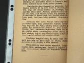 Koplytėlės lempelė 1926 m. - nuotraukos Nr. 6