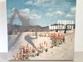 Reamonn albumų CD kolekcija - nuotraukos Nr. 4