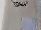 Diagnozė: Kaunas - nuotraukos Nr. 2
