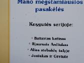 Batuotas katinas - nuotraukos Nr. 6