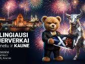 F3 kategorijos fejerverkai Kaune: +370 678 02908 - nuotraukos Nr. 2