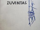 Vintažiniai albumai „žuvintas“ ir „Kuršių nerija“ - nuotraukos Nr. 6