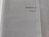 Girėnai I - nuotraukos Nr. 2