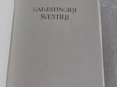 Gailestingieji šventieji - nuotraukos Nr. 2
