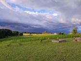 Šalto spaudimo kanapių aliejus - nuotraukos Nr. 3