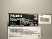 Yamaha ez 300 su deklu - nuotraukos Nr. 5