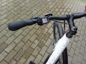 Gekko - nuotraukos Nr. 4