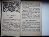 Augalų gydomosios savybės. Augalai ir kosmetika - nuotraukos Nr. 6