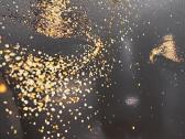 200x140 cm Drobės paveikslas su laku - nuotraukos Nr. 8