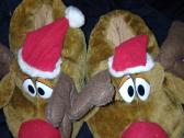 Šiltos tapkės - nuotraukos Nr. 2