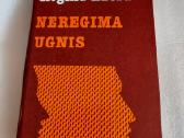 Neregima ugnis