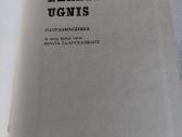 Neregima ugnis - nuotraukos Nr. 2