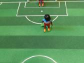 Playmobil futbolo arena - nuotraukos Nr. 2