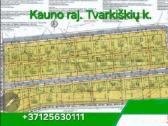 Žemės sklypas 10 arų Tvarkiškių k.+37125630111 - nuotraukos Nr. 30