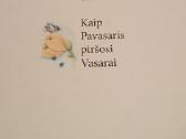 Kaip pavasaris piršosi vasarai - nuotraukos Nr. 2