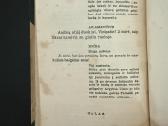 Konvoliutas. A. Vienuolis ir P. Vaičiūnas 1935-193 - nuotraukos Nr. 5