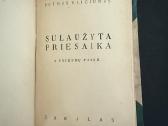 Konvoliutas. A. Vienuolis ir P. Vaičiūnas 1935-193 - nuotraukos Nr. 6
