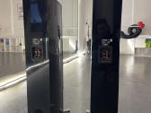 Yamaha NS 555