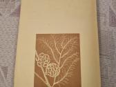 Dendrologija sodininkui - nuotraukos Nr. 8