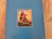 Vaikų Biblija - nuotraukos Nr. 10