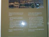 Miškas (albumas anglų ir lenkų kalbomis) - nuotraukos Nr. 2