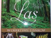 Miškas (albumas anglų ir lenkų kalbomis)