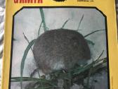 Žurnalai "Mūsų gamta" - nuotraukos Nr. 4