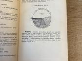 Bažnyčios praeitis 1938 - nuotraukos Nr. 3