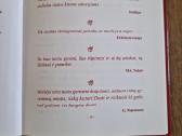 Mintys tik apie meilę - nuotraukos Nr. 3