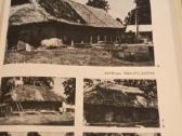 Lietuvos valstiečių gyvenvietės ir sodybos . - nuotraukos Nr. 4