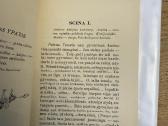 Saliamono sapnas 1908 - nuotraukos Nr. 3