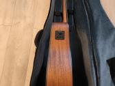 Elektroakustinė gitara Sigma Sdm-ste su dėklu - nuotraukos Nr. 3