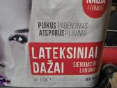 Lateksiniai sienų ir lubų dažai - nuotraukos Nr. 3