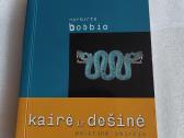 Kairė ir dešinė politinė skirtis