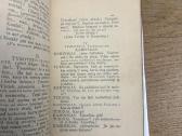 Gadynės žaizdos 1913 - nuotraukos Nr. 5