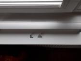 Velux roletas