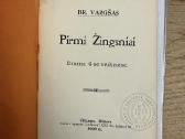Pirmi Žingsniai 1909 - nuotraukos Nr. 2