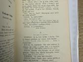 Pirmi Žingsniai 1909 - nuotraukos Nr. 6