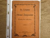 Pirmi Žingsniai 1909